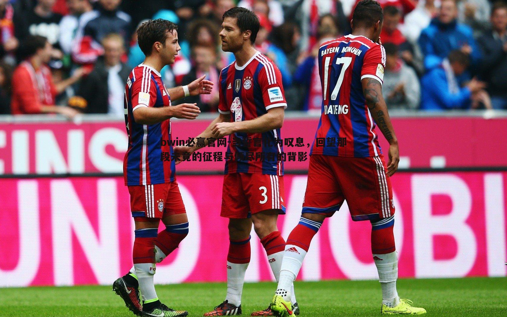 当誓言化为叹息，回望那段未竟的征程与倾尽所有的背影